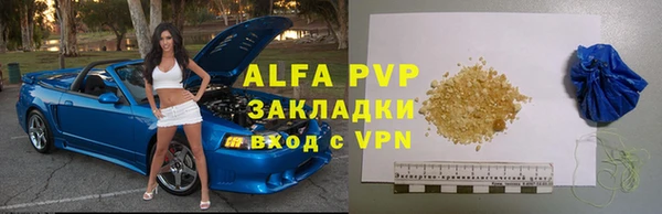 мдпв Каменка