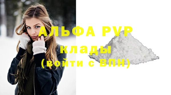 мдпв Каменка