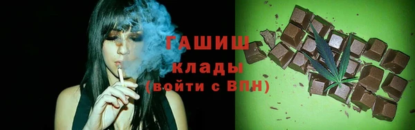 мдпв Каменка