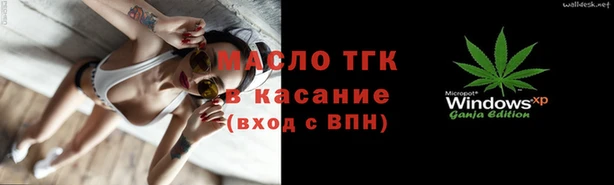 мдпв Каменка