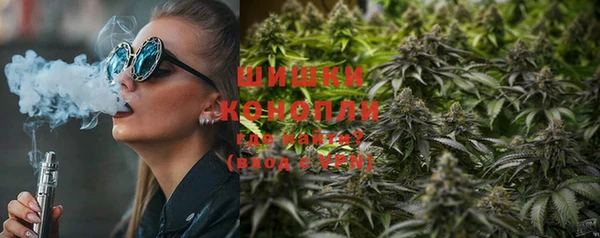 мдпв Каменка