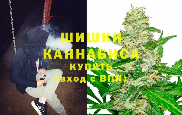 мдпв Каменка