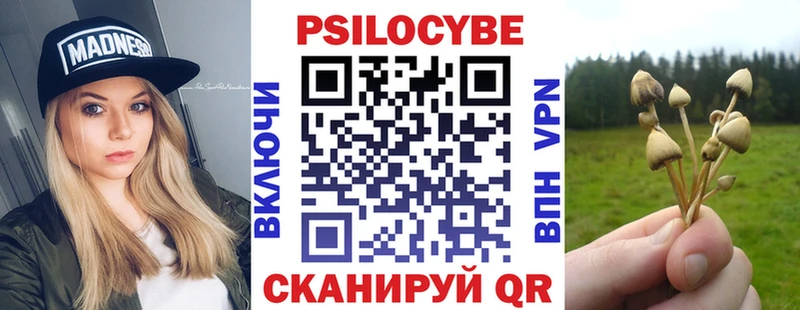 Купить где  Сибай  Псилоцибиновые грибы GOLDEN TEACHER 